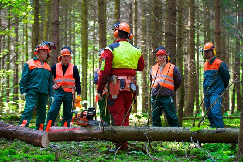 Waldarbeiter, Förster und Jäger sind besonders gefährdet, an Borreliose oder FSME zu erkranken. Foto: AK-DigiArt/Fotolia.de