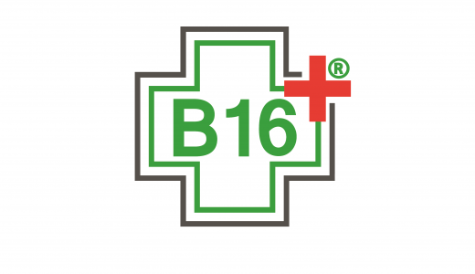 Der B16+ Borreliose-Test (Borrelien-Test)