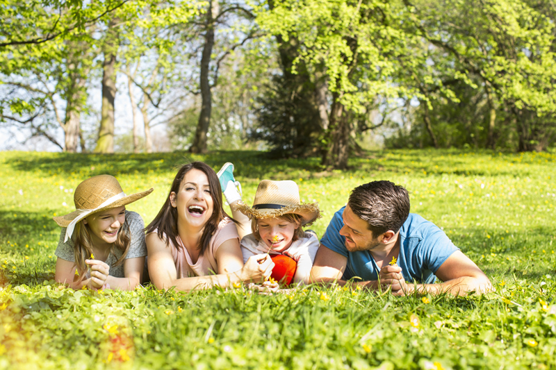 Zecken Zeckenschutz im Urlaub Foto drubig photo fotolia