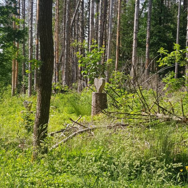 Statt Borreliose wurden Panikattacken diagnostiziert