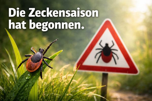Zeckensaison hat begonnen: Warum jetzt besondere Vorsicht wichtig ist