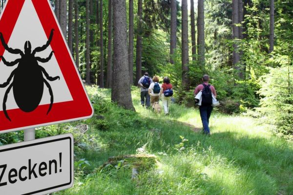 FSME – die nach Borreliose zweithäufigste von Zecken übertragene Erkrankung